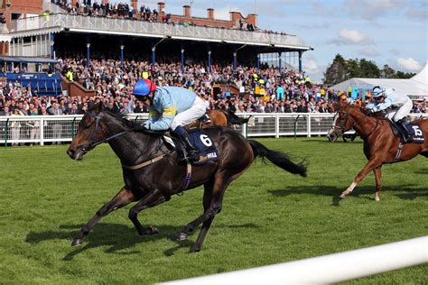 gold cup odds william hill|Gold Cup Runners .